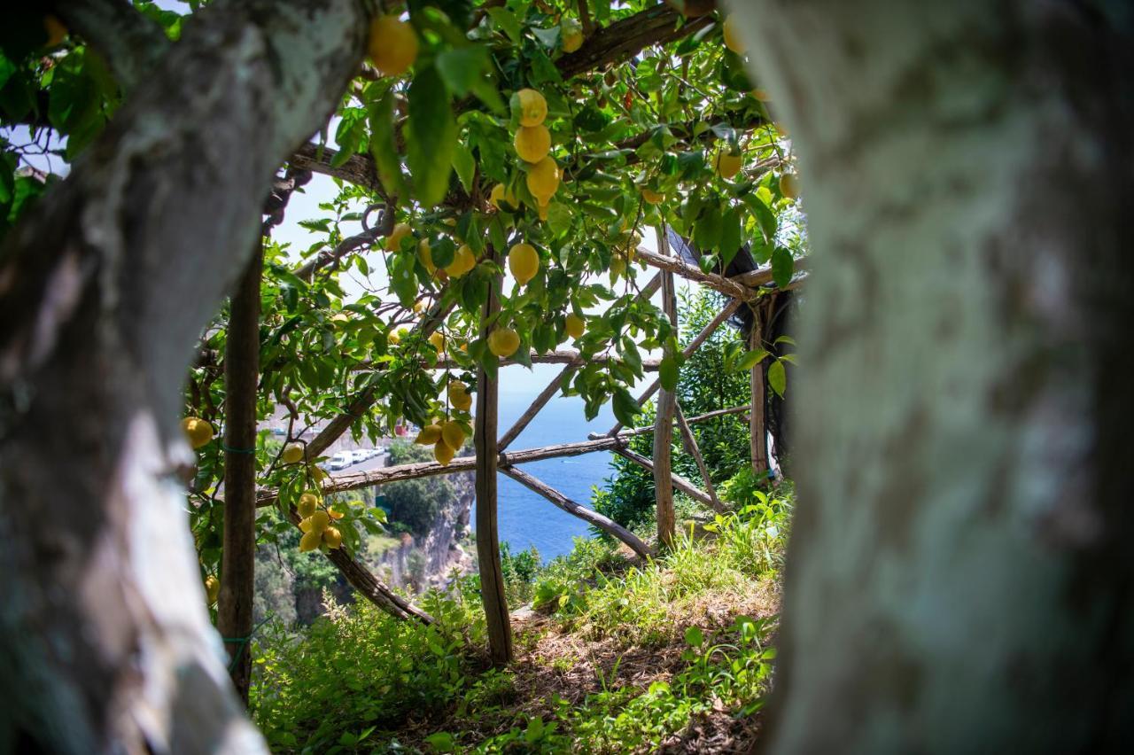 La Pergola Amalfi